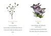An illustration from *Listening to Flowers* by Schiffer Publishing, Ltd. shows Scleranthus and Gentian, with positive affirmations like trust, peace, enthusiasm, hope, and success elegantly written beneath each flower.