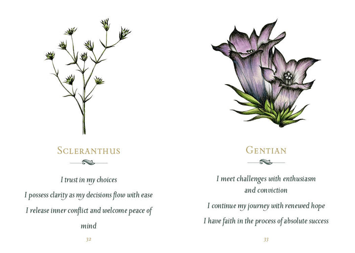 An illustration from *Listening to Flowers* by Schiffer Publishing, Ltd. shows Scleranthus and Gentian, with positive affirmations like trust, peace, enthusiasm, hope, and success elegantly written beneath each flower.
