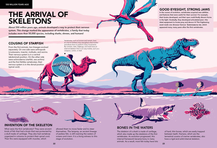 A vibrant spread from "Evolutions" by Schiffer Publishing, Ltd. features prehistoric sea creatures, a giant amphibian, a dinosaur and mammal chase, sharks, and kids by water with fact boxes on the history of life and skeleton evolution.
