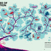 Evolutions" by Schiffer Publishing, Ltd. features vibrant cartoon-style illustrations of the tree of evolution from bacteria to humans, with labeled paths—an engaging visual guide for teaching the history of life on Earth.