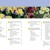 Table of contents pages from "Dwarf and Median Bearded Irises" by Schiffer Publishing, Ltd., with sections on iris cultivation. Background features close-up yellow, purple, and maroon irises with green leaves; text is arranged in columns.