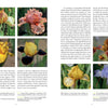 A two-page spread from Schiffer Publishing, Ltd.'s "Dwarf and Median Bearded Irises" features text on these irises with eight close-up photos showing yellow, purple, orange, peach, and white blooms, each with a captions.