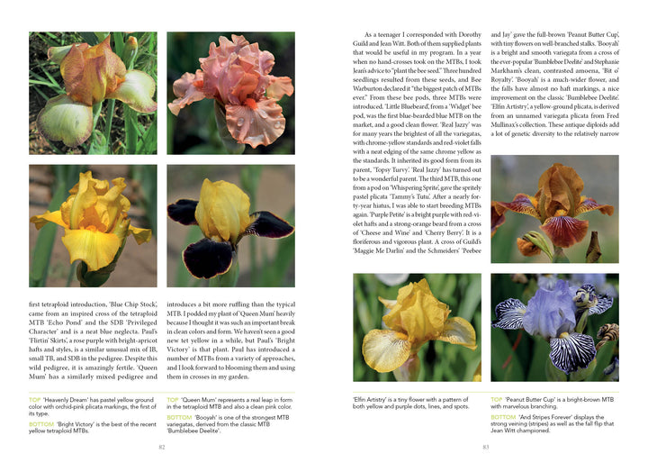 A two-page spread from Schiffer Publishing, Ltd.'s "Dwarf and Median Bearded Irises" features text on these irises with eight close-up photos showing yellow, purple, orange, peach, and white blooms, each with a captions.