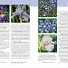 A close-up of "Dwarf and Median Bearded Irises" by Schiffer Publishing, Ltd., a magazine with perennial gardening tips and expert advice on growing iris varieties.