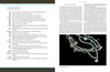 navajo and pueblo jewelry design timeline