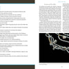 navajo and pueblo jewelry design timeline