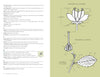 A page from "The AIFD Guide to Floral Design" by Schiffer Publishing, Ltd., featuring text and floral design drawings.