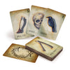 The Between the Worlds oracle deck by Schiffer Publishing, Ltd. features illustrated cards like Doll Leg, Skull, and Seeker, with others such as Wish Bone and a thorny wreath design shown in an eye-catching display.