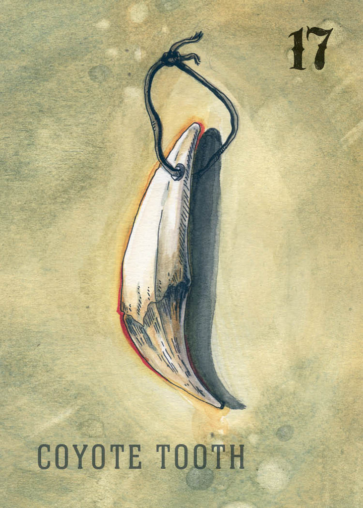 A card from the "Between the Worlds" oracle deck by Schiffer Publishing, Ltd. shows a coyote tooth pendant on a black cord, number 17 in the top right, "Coyote Tooth" at the bottom, and a muted tan background.