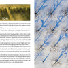 In Art from Above by Schiffer Publishing, Ltd., an Introduction page overlays a forest photo with long shadows, while opposite is Caleb Kenna’s aerial Vermont image of leafless trees casting blue shadows on snow.