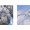 Left: Snow-covered forest with frosted treetops. Right: Vermont’s snowy field and tree shadows highlight Caleb Kenna’s artistry in Art from Above by Schiffer Publishing, Ltd.