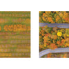 Left: Vibrant aerial views of autumn trees. Right: A winding road through colorful forest. Both are featured in "Art from Above" by Schiffer Publishing, Ltd., showcasing stunning landscapes captured from above.