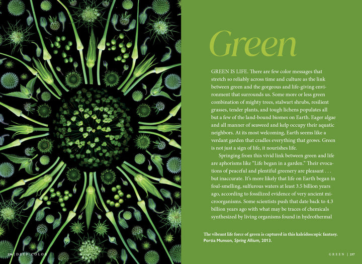 Deep Color by Schiffer Publishing, Ltd. features a vibrant digital artwork of swirling green shapes evoking plant cells and microscopic life, paired with text exploring green's cultural significance and vital role in nature's history.