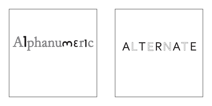 Two side-by-side boxes: the left highlights "Alphanumeric" in varied styles; the right, "ALTERNATE" in minimalist all-caps—Schiffer Publishing, Ltd.’s Words in Action is ideal for enriching your typographic dictionary or graphic design projects.