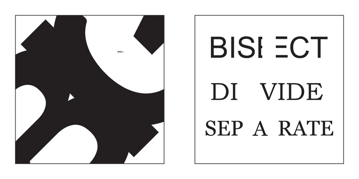 Words in Action" by Schiffer Publishing, Ltd. features a black and white graphic with abstract shapes on the left and three words—BISECT, DIVIDE, SEPARATE—on the right, using a typographic dictionary style with split or spaced letters.