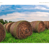 Large round hay bales rest in a green field beneath a cloudy sky, with a white barn behind. "Back Roads of the Midwest" by Schiffer Publishing, Ltd. showcases David Skernick’s peaceful rural landscape photography.