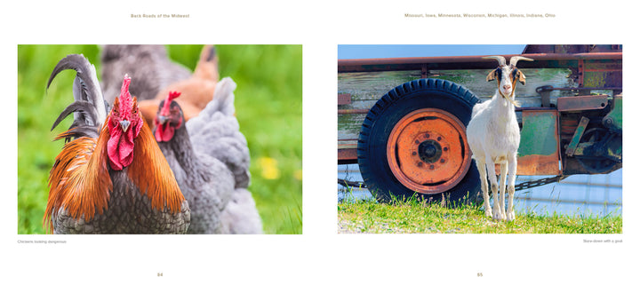Left: Close-up of chickens on grass, one looking at the camera. Right: A goat stands by a truck wheel—scenes evoking Schiffer Publishing, Ltd.'s Back Roads of the Midwest.
