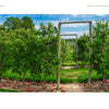 Rows of apple trees heavy with ripe fruit, a wooden trellis beneath a blue sky—an iconic Midwest scene from Back Roads of the Midwest by Schiffer Publishing, Ltd.