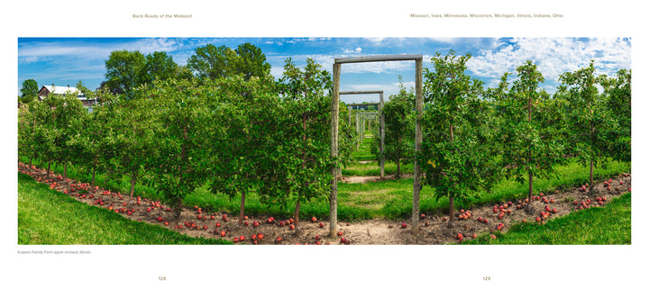 Rows of apple trees heavy with ripe fruit, a wooden trellis beneath a blue sky—an iconic Midwest scene from Back Roads of the Midwest by Schiffer Publishing, Ltd.