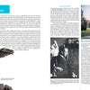 Florida Sculptors and Their Work" by Schiffer Publishing, Ltd. explores Jacksonville’s history with bronze angel statue images, vintage photos, text on manufacturing roots, and spotlights sculptors like Charles Adrian Pillars and President Hoover.