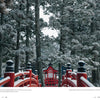 A snow-covered red arched bridge leads to a small shrine amid tall trees, featured in "Japan" by Schiffer Publishing, Ltd.—a perfect addition to any collection capturing serene, wintry beauty and Japanese culture.