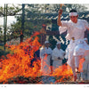An evocative moment of a person in white traditional clothing leaping over flames near a shrine gate—captured in "Japan" by Schiffer Publishing, Ltd.—is perfect for any photography book collection.