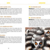 Two ring-tailed lemurs huddle together as a third peeks from behind—an ideal image for fans of Schiffer Publishing, Ltd.’s "Useless Knowledge for the World Traveler," perfect for those who love travel trivia and funny facts.
