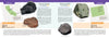 A two-page spread from Schiffer Publishing, Ltd.'s The 50 State Unofficial Meteorites spotlights California’s Old Woman and Colorado’s Johnstown meteorites with images, maps, and discovery highlights.
