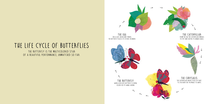 Infinity by Schiffer Publishing, Ltd. features an illustrated diagram titled The Life Cycle of Butterflies, depicting all stages—egg, caterpillar, chrysalis, butterfly—with arrows and vibrant floral accents in a picture book style.