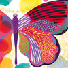 Infinity by Schiffer Publishing, Ltd. features a vibrant multicolored butterfly with intricate red, orange, purple, yellow, turquoise, and blue wing patterns, symbolizing nature’s cycles. Inspirational quotes appear on both sides against a white background.