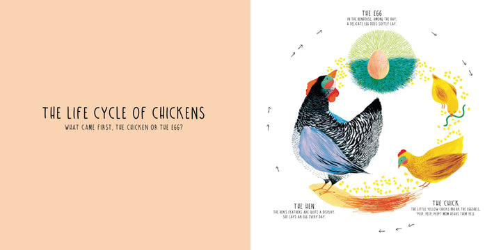 Infinity by Schiffer Publishing, Ltd. features a chicken life cycle diagram: egg, chick, and hens linked with arrows. "The Life Cycle of Chickens" is titled on a peach background—ideal for teaching natural cycles in picture books.