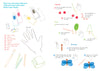 The "Finger Painting with Lili Activity Book" by Schiffer Publishing, Ltd. includes art supplies, a hand outline, and easy instructions to create cherries, trees, and a butterfly in red, green, blue, and yellow using simple finger painting techniques.