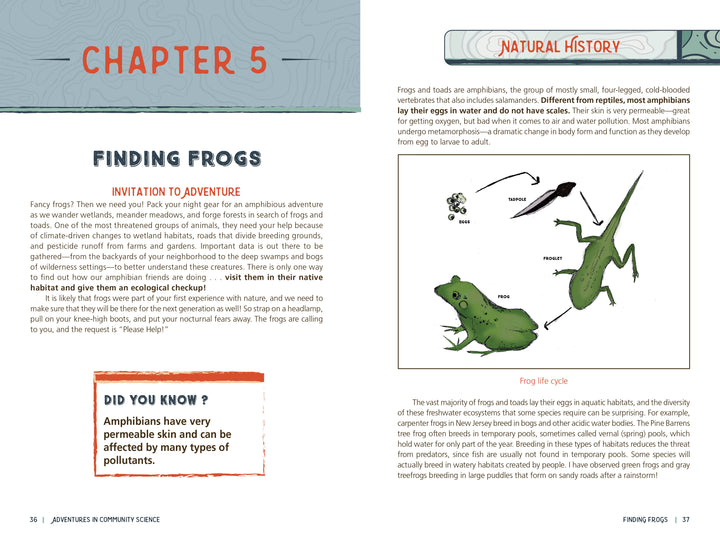 A spread from "Adventures in Community Science" by Schiffer Publishing, Ltd. shows Chapter 5, “Finding Frogs,” featuring text, a Did You Know? fact, frog illustrations, a life cycle diagram, and conservation-focused project-based activities.