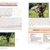 Two children explore outdoors with a white butterfly net and inspect their catch. The page from Adventures in Community Science by Schiffer Publishing, Ltd. offers outdoor adventure tips, project-based learning ideas, and an insect observation checklist.