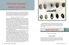 A two-page spread titled “Mystery Mussel Investigations” in the Adventures in Community Science Workbook by Schiffer Publishing, Ltd. features freshwater mussel facts, lesson instructions, and a photo of shells with a caliper.