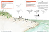 The “Adventures in Community Science Workbook” by Schiffer Publishing, Ltd. features a sandy beach illustration with labeled shorebirds, sandcastles, small plants, bird sketches above the shoreline, tasks, and a resource box on the right.