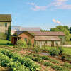 A farmhouse and barns nestle among green fields and a kitchen garden under blue skies. At right, text and a close-up of a flowering plant evoke classic Amish vegetable plots. Amish Gardens of Lancaster County by Schiffer Publishing, Ltd.
