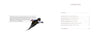 A bird soars above, capturing the beauty of Cape Cod, as featured by Schiffer Publishing, Ltd.