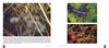 A close-up of "Cape Cod" by Schiffer Publishing, Ltd., showcasing breathtaking photography that captures the unique beauty of local ecosystems and wildlife.