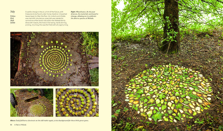 Land Art by Schiffer Publishing, Ltd. features spiral designs made from green and yellow leaves on the forest floor and wood, highlighting nature art. Close-up images display intricate leaf details and the creation process.