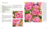 Discover "Fabulous Flowers with Acrylics" by Schiffer Publishing, Ltd.—a step-by-step peony painting tutorial featuring an impressionistic canvas of large pink blooms, close-ups, a materials list, and acrylic flower painting instructions.