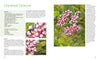 Fabulous Flowers with Acrylics by Schiffer Publishing, Ltd. guides readers in painting pink and white chestnut flowers with green leaves using step-by-step instructions, a materials list, and illustrative spreads.