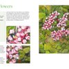 Fabulous Flowers with Acrylics by Schiffer Publishing, Ltd. guides readers in painting pink and white chestnut flowers with green leaves using step-by-step instructions, a materials list, and illustrative spreads.