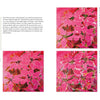 The two-page spread "Fabulous Flowers with Acrylics" by Schiffer Publishing, Ltd. details materials and four steps for painting poinsettias on pink, featuring stage-by-stage images and floral painting tips.