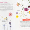 The Little Book of Flower Pressing by Schiffer Publishing, Ltd. is an illustrated guide with pressed flowers and labeled weeds like daisy, rose, and lavender—ideal for inspiring your next floral craft or botanical frame project.