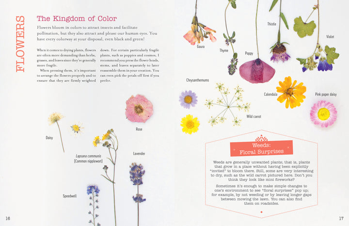 The Little Book of Flower Pressing by Schiffer Publishing, Ltd. is an illustrated guide with pressed flowers and labeled weeds like daisy, rose, and lavender—ideal for inspiring your next floral craft or botanical frame project.