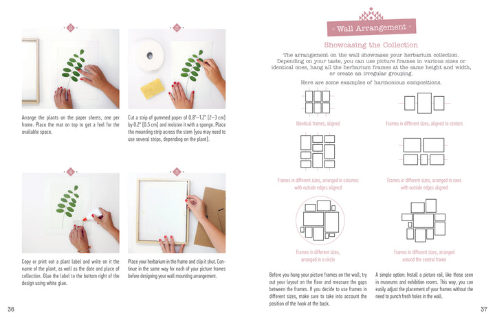A step-by-step guide in "The Little Book of Flower Pressing" by Schiffer Publishing, Ltd. shows hands arranging pressed floral cutouts on paper, framing them, and displays wall groupings with text instructions and illustrated ideas.