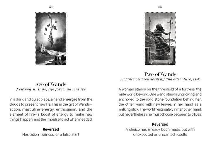 Two card explanations from the Nightfall Tarot by Schiffer Publishing, Ltd. are shown: “Ace of Wands,” with a sprouting wand, and “Two of Wands,” featuring a woman with a globe—both include upright and reversed meanings.