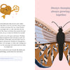 The Shared Diary Society for Friends by Schiffer Publishing, Ltd. features a gold heart-shaped lock and key, friendship prompts, a butterfly illustration, and the quote: Always changing, always growing—together. A perfect gift for friends.