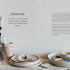 A tabletop with paintbrushes, glassware, seashells, and ceramic dishes is set before a white textured wall featuring introductory text from "Styling Beyond Instagram" by Schiffer Publishing, Ltd. on making money in prop styling.